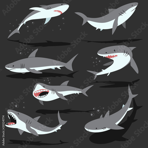 Sharks cartoon set isolated on background. Vector character of ocean fish with open mouth and teeth in different poses.
