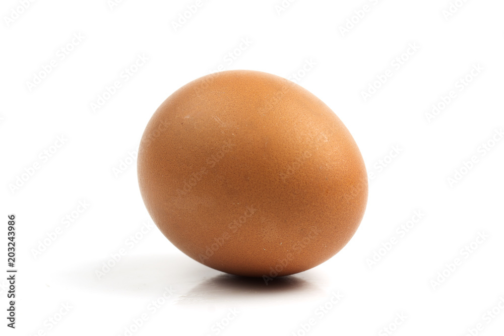 Brown chicken egg