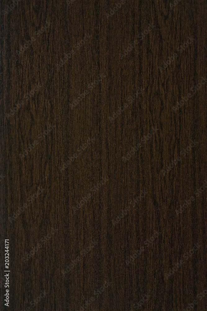 Fototapeta premium Polished wood texture. The background of polished wood texture. Texture-Venge