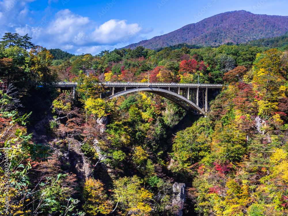 Autumn season landscape with blue sky, white cloud,  colorful mountain, forest and steel bridge.