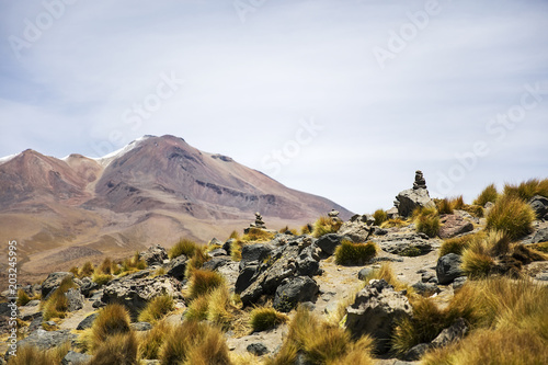 Laguna Colorada in Bolivia