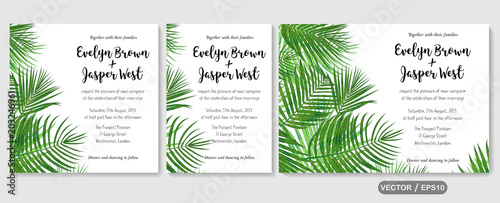 Wedding invite, invitation rsvp thank you card vector floral greenery design: Forest tropical palm leaf Areca branch green, foliage herbs elegant. Watercolor cute set