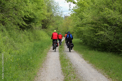 Bike tours in the spring forest