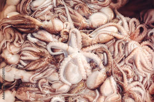 Fresh raw octopus in the fish market.