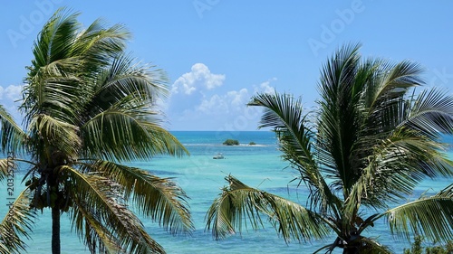 Kleine Insel im Sonnenschein  Florida Keys
