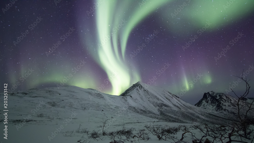 Northern Lights at Tromso