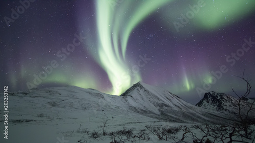 Northern Lights at Tromso © Wannabe Adventurer