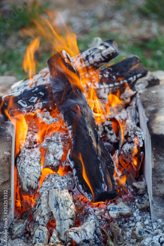 Burning wood at day. Campfire at tourist camp at nature in garden. Cooking barbecue outdoor