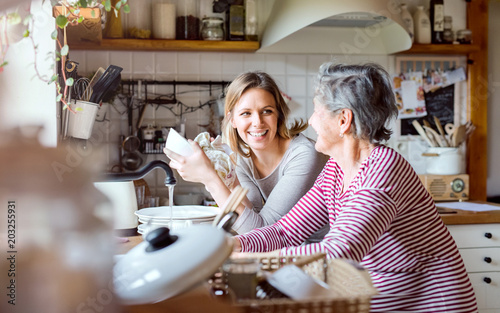 Obraz na plátně An elderly grandmother with an adult granddaughter at home, washing the dishes
