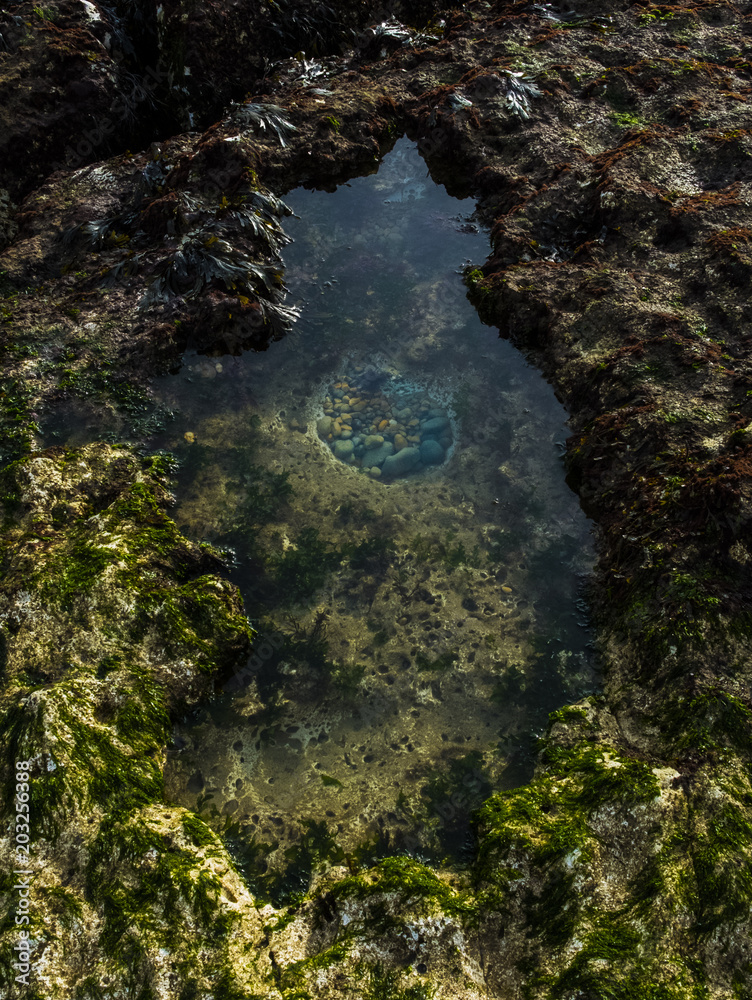 rockpool