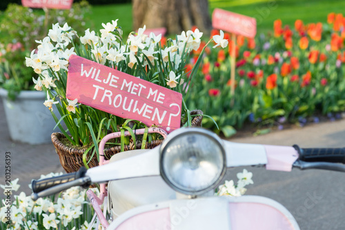 Pink sign in a basket of daffodils on a scooter saying 'Will you marry me?' in Dutch 'Wil je met me trouwen?' photo