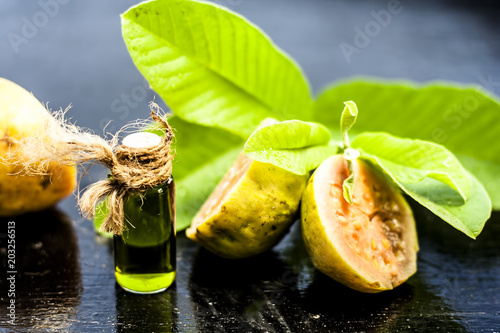 Green colored Floral and fruit essence of Guava or Jamrudh or Psidium guajava or common red guava with its fresh leaves and organic fruit on black wooden surface. photo