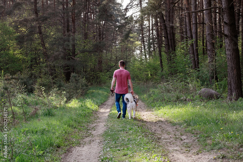 Caucasian man walking a dog in summer forest, view from back