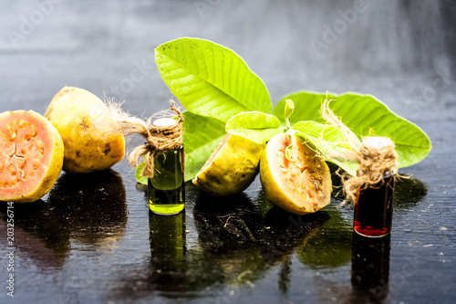 Green colored Floral and fruit essence of Guava or Jamrudh or Psidium guajava or common red guava with its fresh leaves and organic fruit on black wooden surface.
