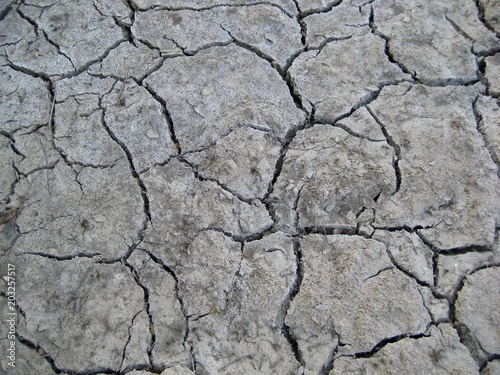 Terra seca desidratada. Lama seca. photo