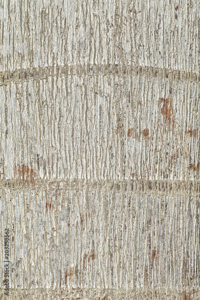 Naklejka premium Close up of tree bark texture high resolution