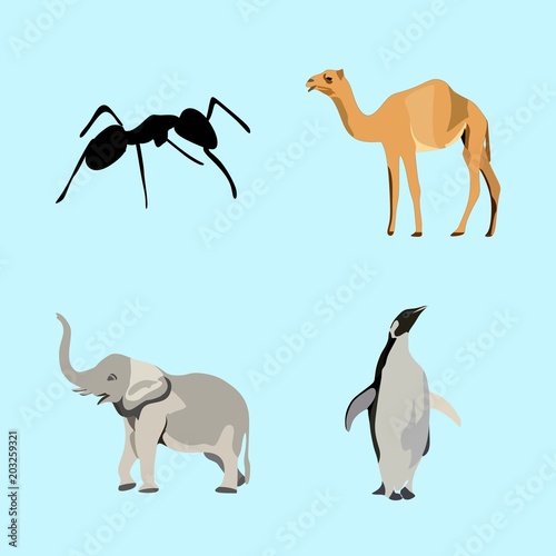 icons about Animal with silhouette  ant  penguin  walking and sahara