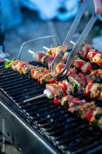 Bilde på lerret Close up pf delicious chicken breast on wooden skew with fresh vegetables, garli