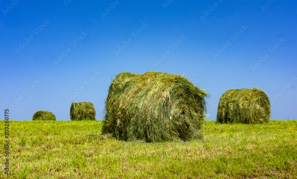 Bale of straws for animal feed