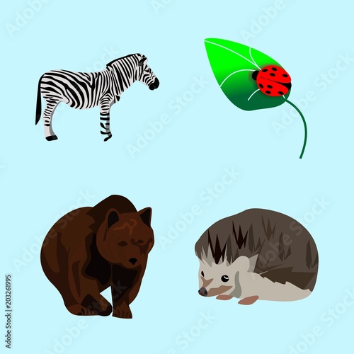 icons about Animal with needles, big, transparent, thorn and farm
