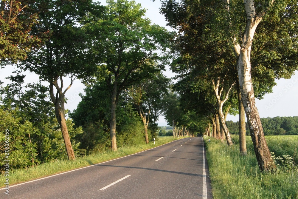 Obraz premium Straße Fuldatal