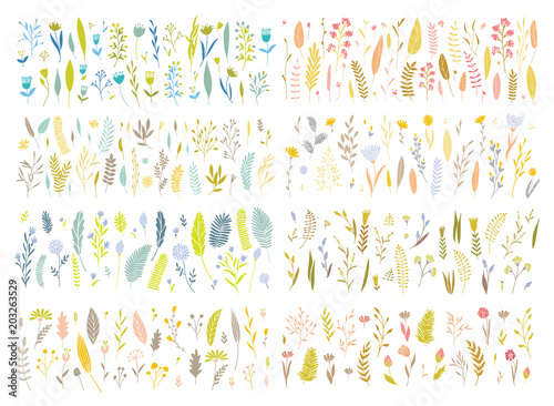 Vector floral set.