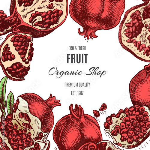 Hand drawing illustratiion pomegranate colorful. Vector illustration for organic shop.