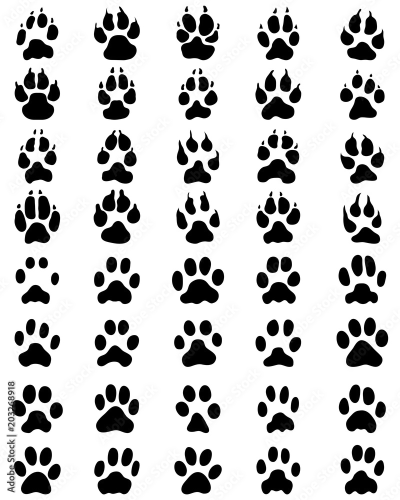 Black print of paws of dogs and cats on white background Black print of paws of dogs and cats on white background