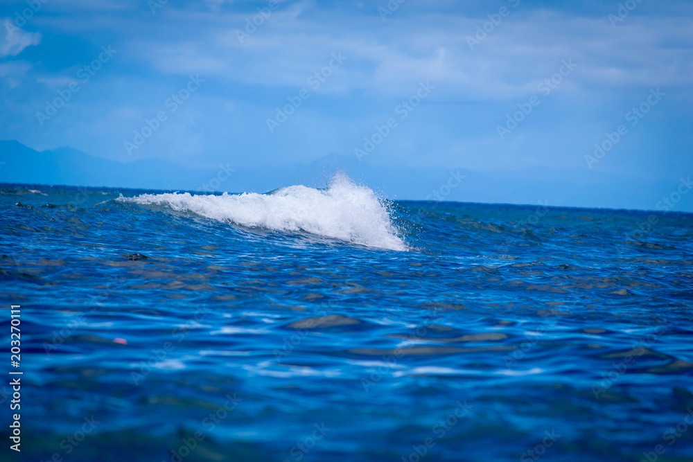 Naklejka premium Against the Waves