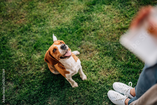 Girl giving a treat to happy dog. photo