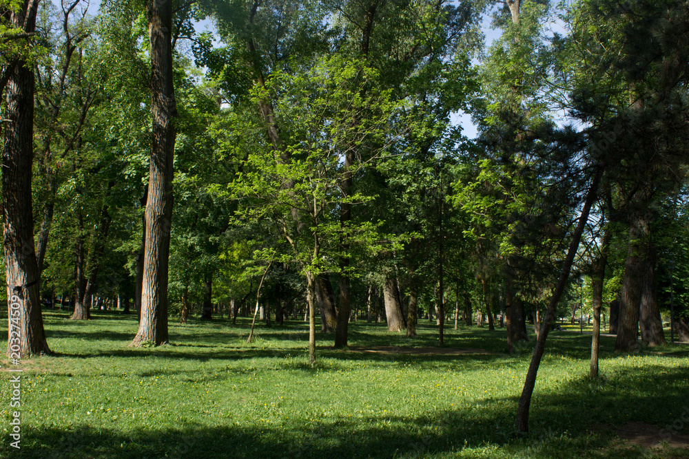 Park