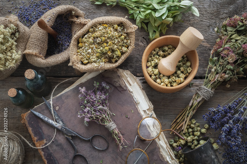 Fotografie Old book, eyeglasses, Tincture bottles, assortment of dry healthy herbs, mortar