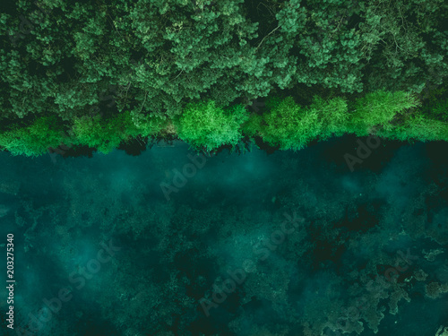 Forest and lake border, toned image from above