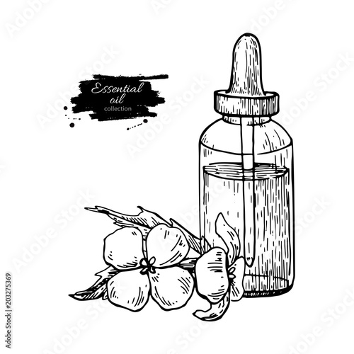 Mustard essential oil bottle and flower. Hand drawn vector illustration. Isolated drawing