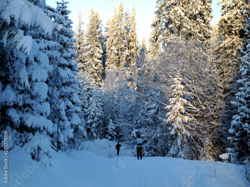Skiing