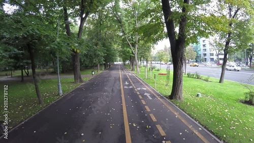 High angle view of Kiseleff park's walkway photo