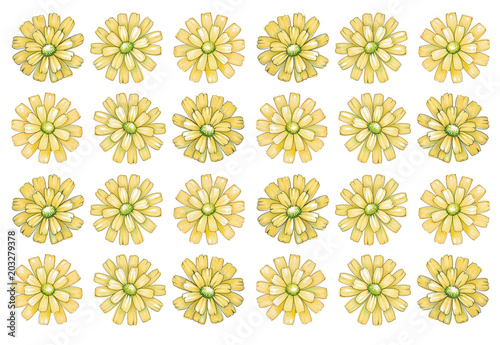 Yellow hand drawn chrysanthemum for decoration, wallpaper or background