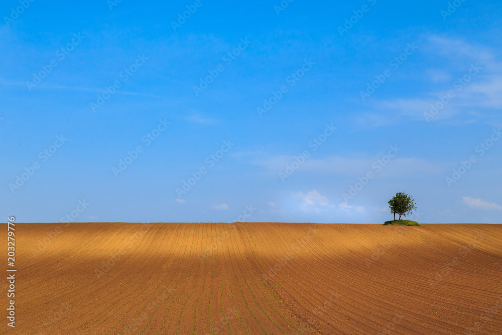 Fototapeta premium panonian tranquility