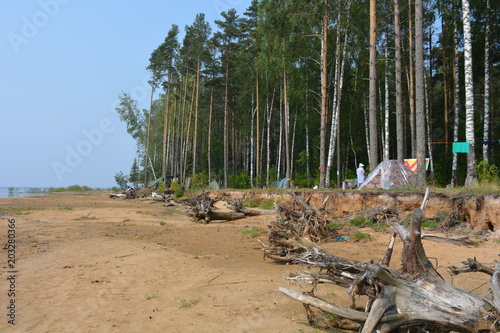Ecofestival in Russia