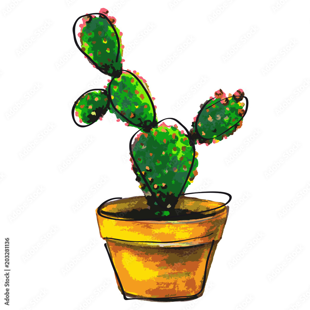 cactus, succulent, isolated on a white cactus, succulent, isolated on a white