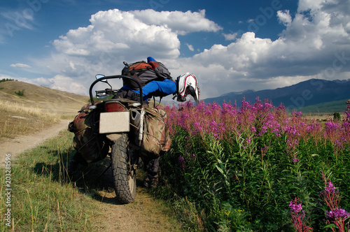 Moto traveler man in helmet smell the flowers by the roadside sitting on motorcycle with suitcases standing on road on the background of endless siberian steppe