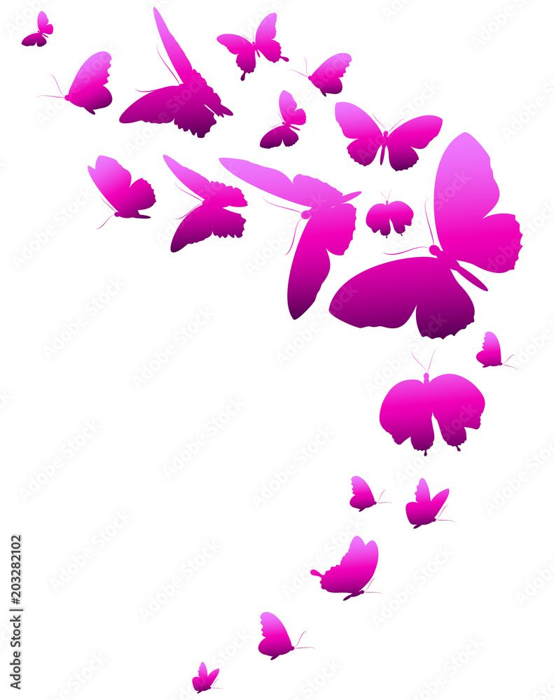 Fototapeta premium beautiful pink butterflies, isolated on a white