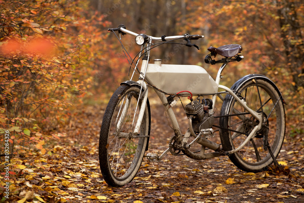 Vintage motorcycle in the autumn park.