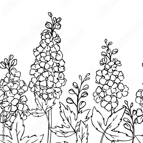 vector contour delphinium flowers leaves branch coloring book seamless pattern
