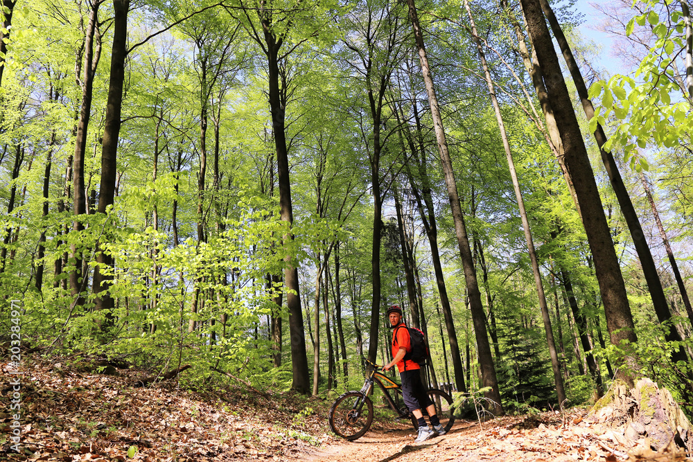 Obraz premium Mountainbiker im sommerlichen Wald