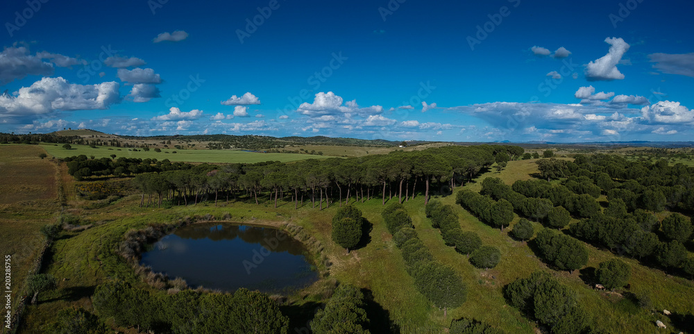 Aerial view from a lake surrounded by pine trees. Alentejo, Portugal