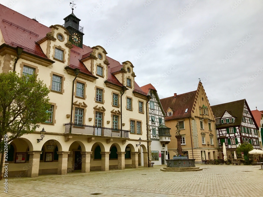Fototapeta premium Sigmaringen (Baden-Württemberg)