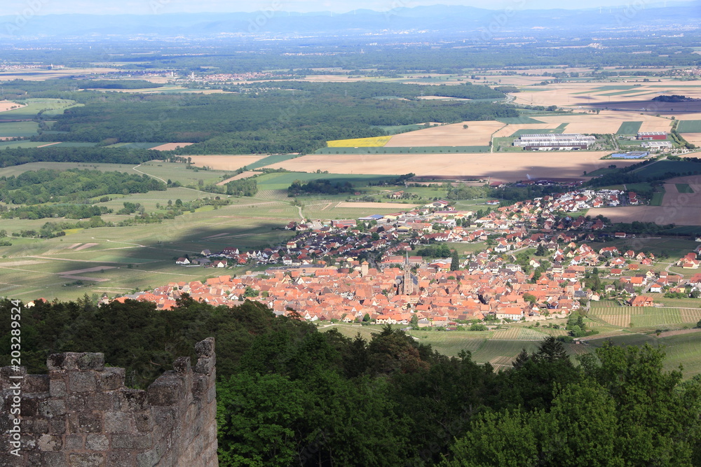 Dambach-la-Ville dans le vignoble d'Alsace