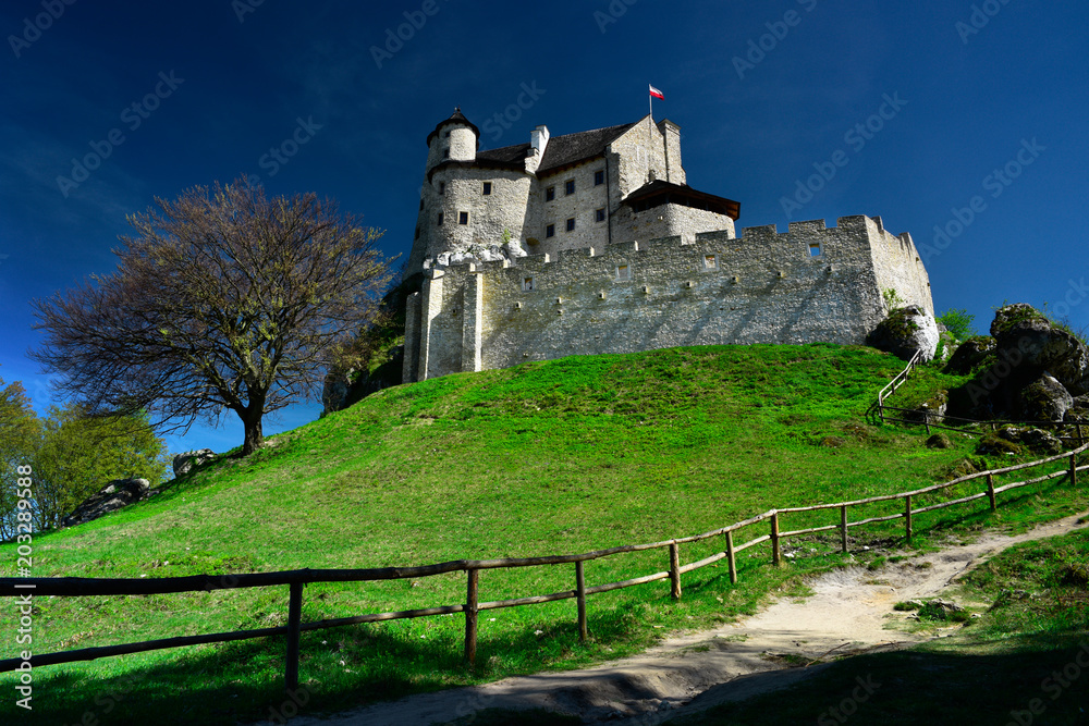 Medieval castle Bobolice. Poland