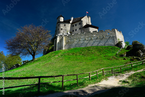 Medieval castle Bobolice. Poland